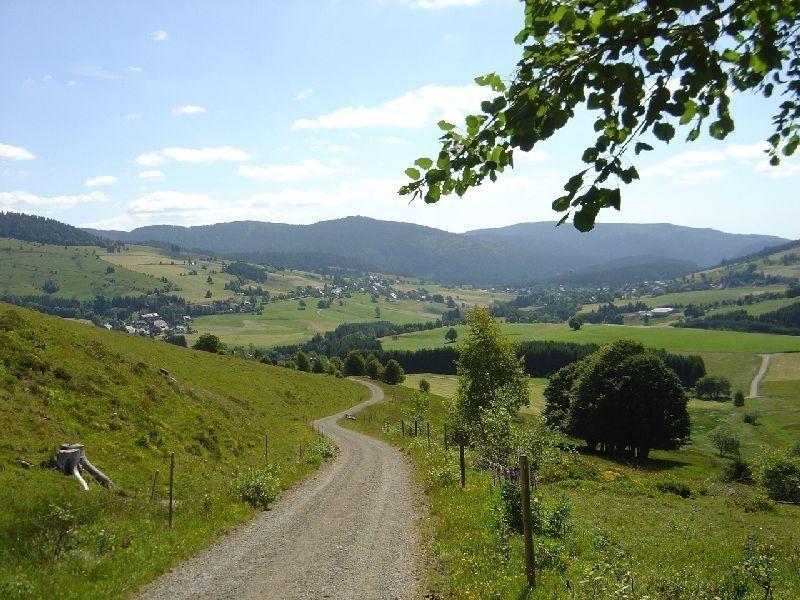 Ferienwohnungen Haus Marlene Kaiser Bernau im Schwarzwald Extérieur photo